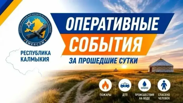В Яшкульском районе при наезде на скот опрокинулся автомобиль