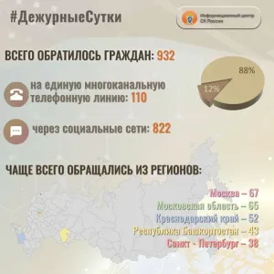 В Элисте после нападения собак на мужчину возбудили уголовное дело