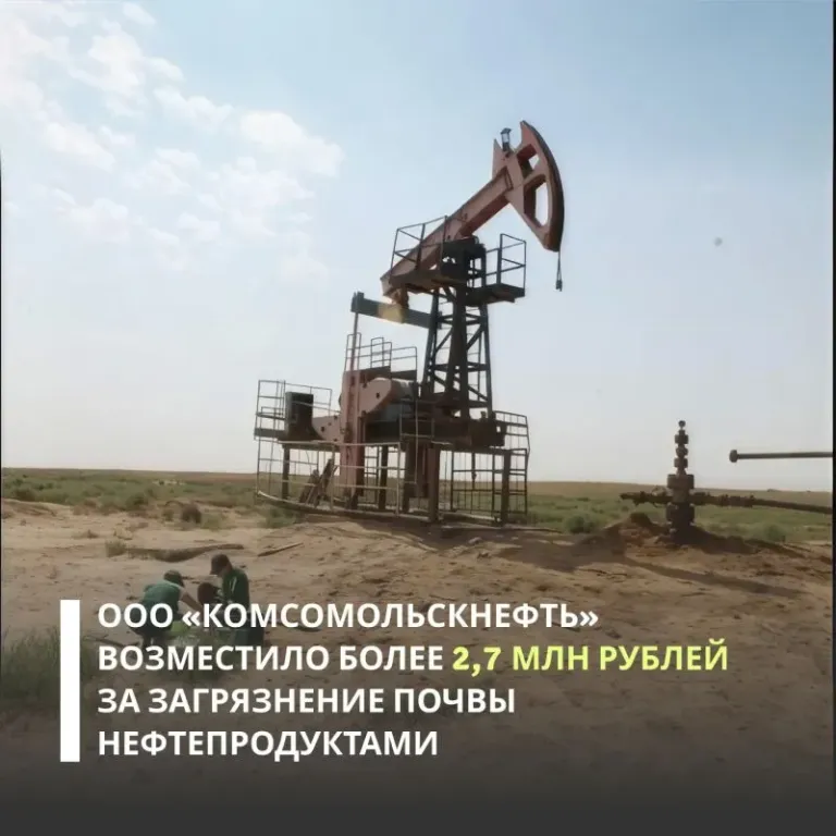«Комсомольскнефть» возместила 2,7 млн рублей за загрязнение почв в Калмыкии