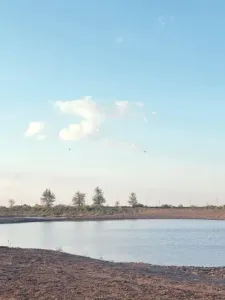 В Калмыкии 20 октября ожидается до +24 °C без осадков