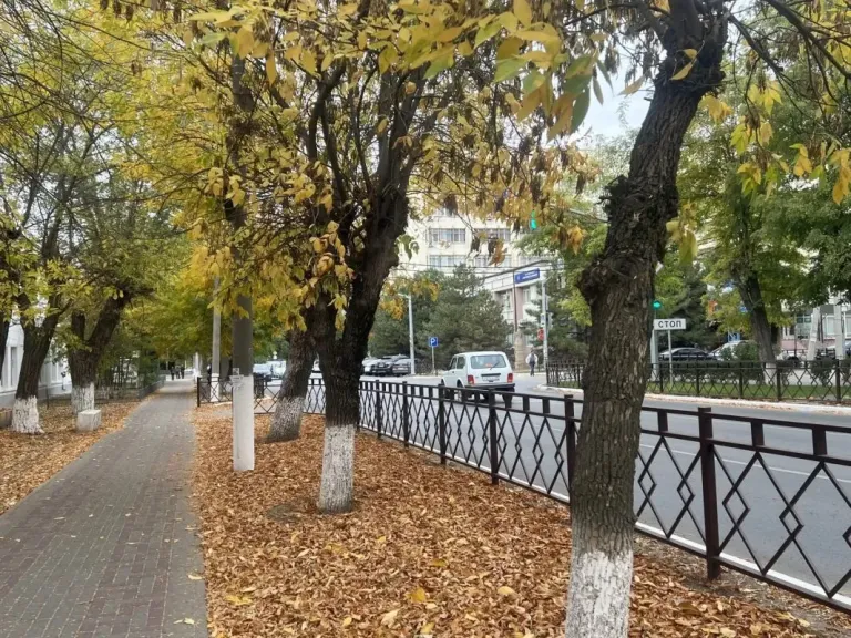 В Калмыкии 23 октября ожидается до +21 °C без осадков
