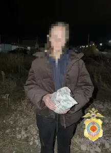 Полиция Калмыкии предотвратила передачу 3,5 млн мошенникам